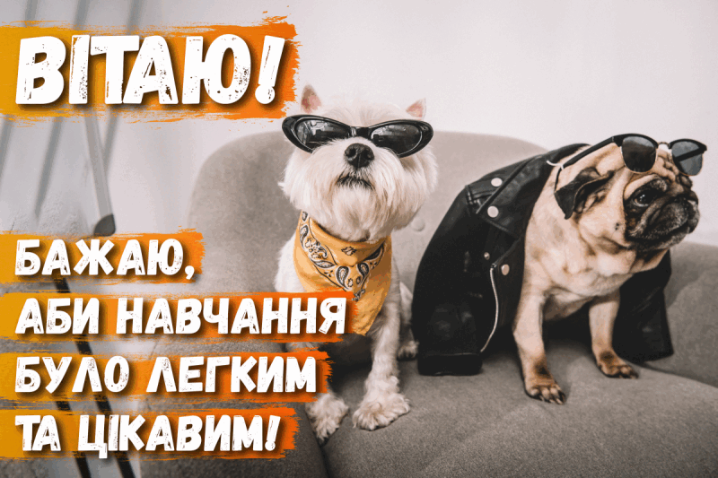 Привітання з вступом до вузу - в картинках, віршах і прозі — УНІАН