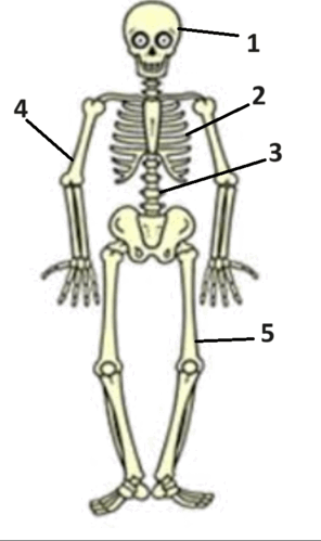 060127tl-eaf0-518x874.png