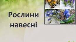 Тема: "Рослини навесні"