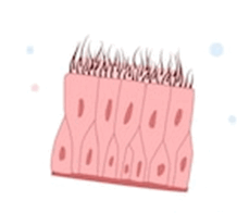060128it-00c3-218x196.png
