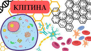 Будова клітини