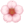 🌸