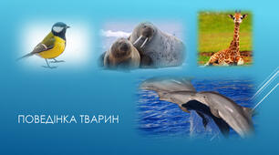 Поведінка тварин.Методи вивчення поведінки.