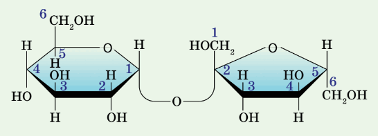 06012b34-ade8-546x197.png