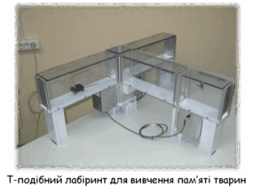 06012b4l-ded7-285x212.png