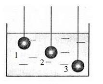 06012c7g-5eb3-214x175.jpg