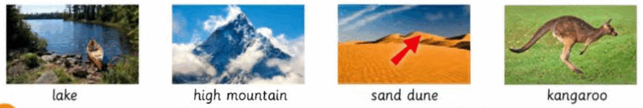 06012cbe-7173-940x158.png