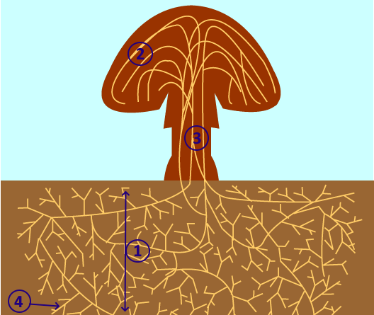 06012crp-5e09-528x445.png