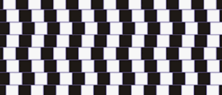 06012e7a-c4bb-318x136.png