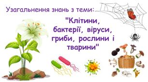 Узагальнення знань з теми: "Клітини, бактерії, віруси, гриби, рослини і тварини" 5 кл НУШ.