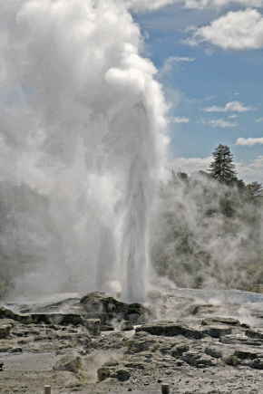 06012gwa-f93e-290x435.png