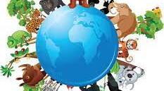 Our magic planet
