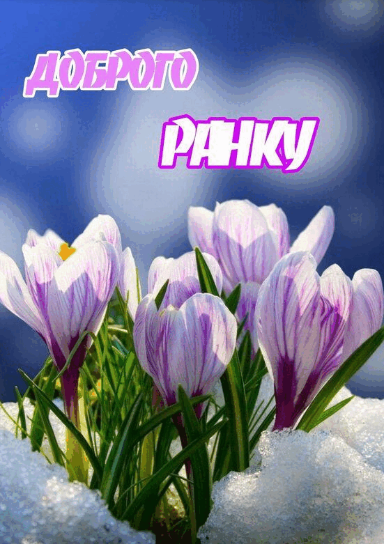 06012ict-e67a-551x781.png