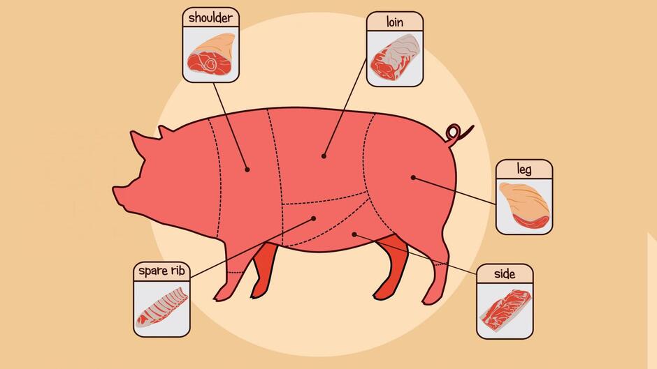 10 Common Pork Cuts and How to Use Them: An Illustrated Guide