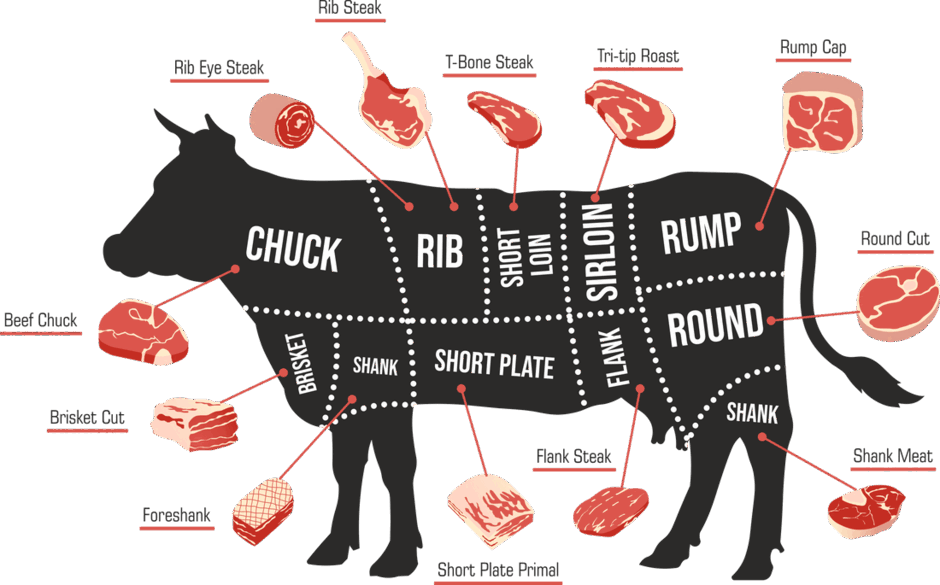 The Complete Guide to the Most Common Cuts of Beef