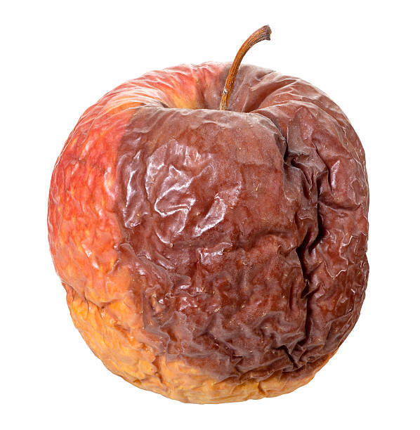 Rotten Apple Stock Photo - Download Image Now - Apple - Fruit, Rotting, Bad Condition - iStock