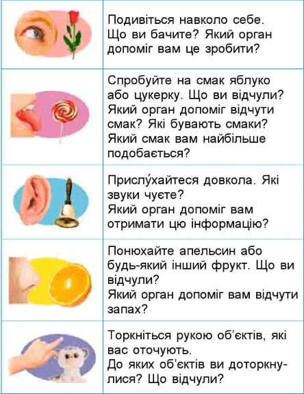 06012qab-de3c-444x576.png