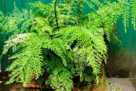 06012qv5-f0f2-136x91.png