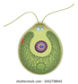 06012qva-fd68-87x94.png