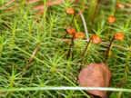06012qvi-608c-144x108.png