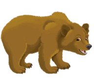 06012s27-28dd-192x165.png
