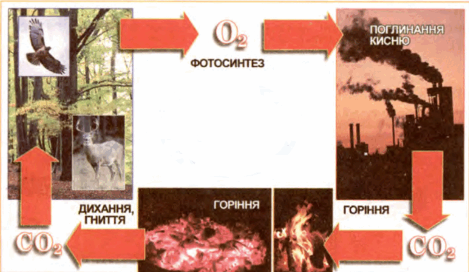 06012stg-735d-940x546.png