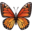🦋