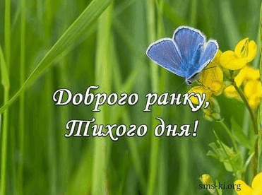 06012yf8-fce9-371x276.png