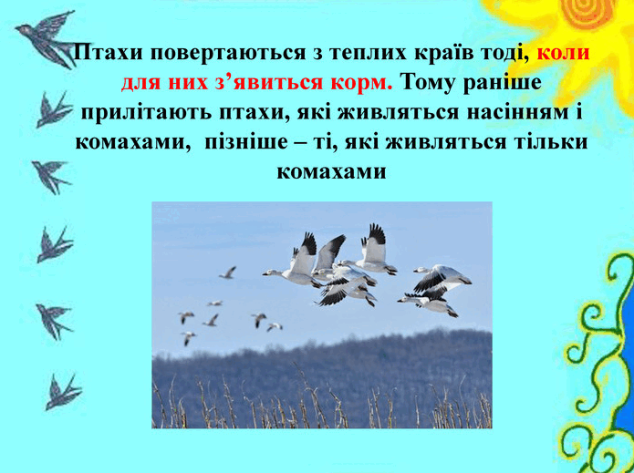 06012z3o-37e9-695x519.png