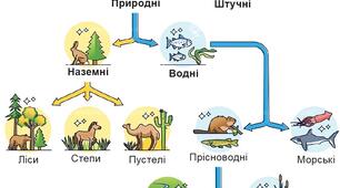 Презентація з "Пізнаємо природу" для 6 класу на тему: "Що таке природні та штучні угруповання."