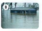06013033-b419-175x130.png