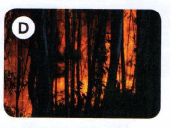 0601304h-965b-171x128.png