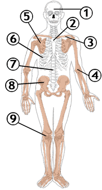 060130a4-8153-200x370.png