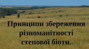 Принципи збереження різноманітності степової біоти.