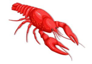 060134j4-1737-303x211.png