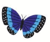 060139is-89ac-228x192.png