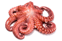 060139q8-b8e9-202x135.png