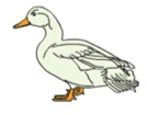 060139wx-f993-134x105.png