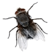 060139xj-44cb-110x107.png