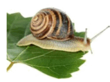 060139y3-1d10-248x186.png