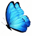 060139ym-1095-146x160.png