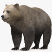 06013a0s-122a-171x171.png