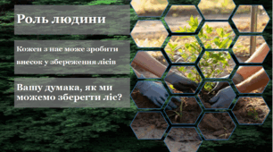 Презентація "21 березня - Міжнародний день лісів"