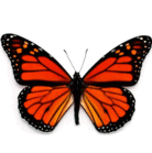 06013ale-ea6b-138x139.png