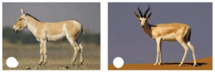 06013bg8-98f1-308x105.png