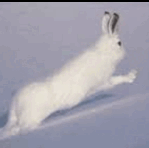 06013g0r-3a05-149x148.png