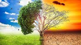 Nature and environment