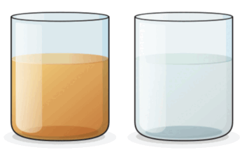06013gom-3545-346x215.png