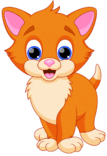 06013h97-8501-107x156.png
