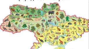 Природні зони України